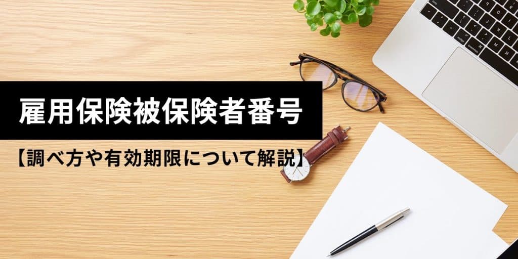 雇用保険被保険者番号とは?調べ方や有効期限について解説